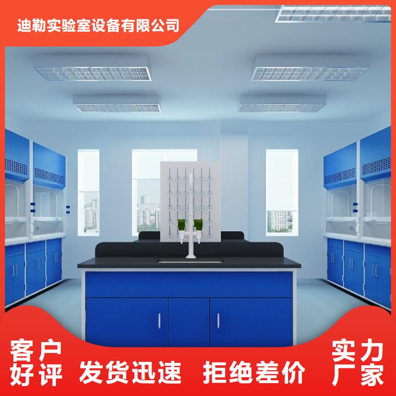 迪勒实验室边台通风柜_【耐酸碱实验室边台】专业生产设备