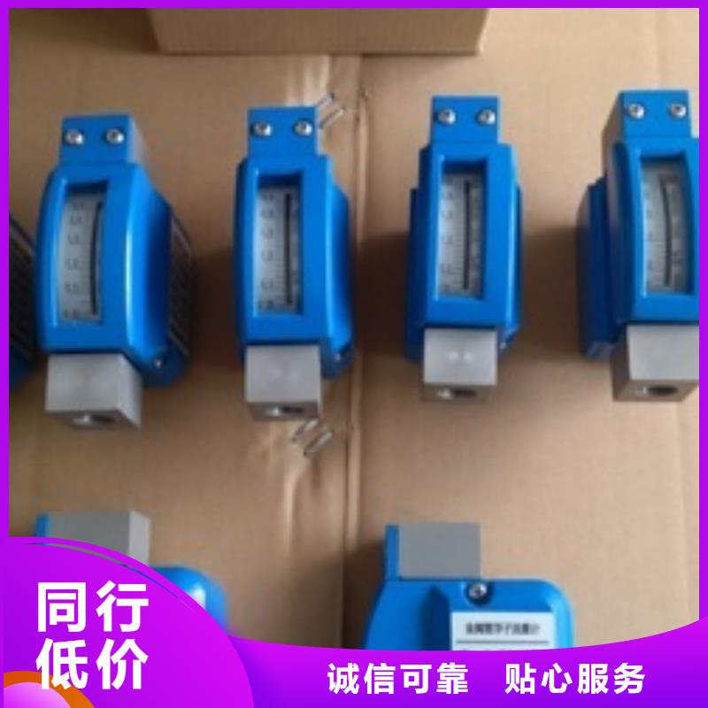 【金属浮子流量计】-吹扫装置制造厂家