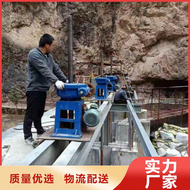 螺杆式启闭机-侧摇启闭机实力优品
