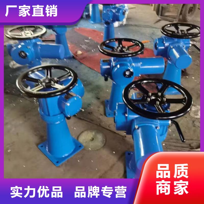 螺杆式启闭机,手摇启闭机定金锁价
