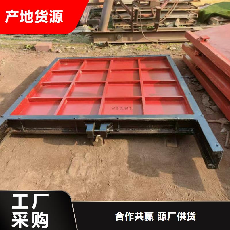 铸铁闸门,水电站铸铁闸门品质保障售后无忧