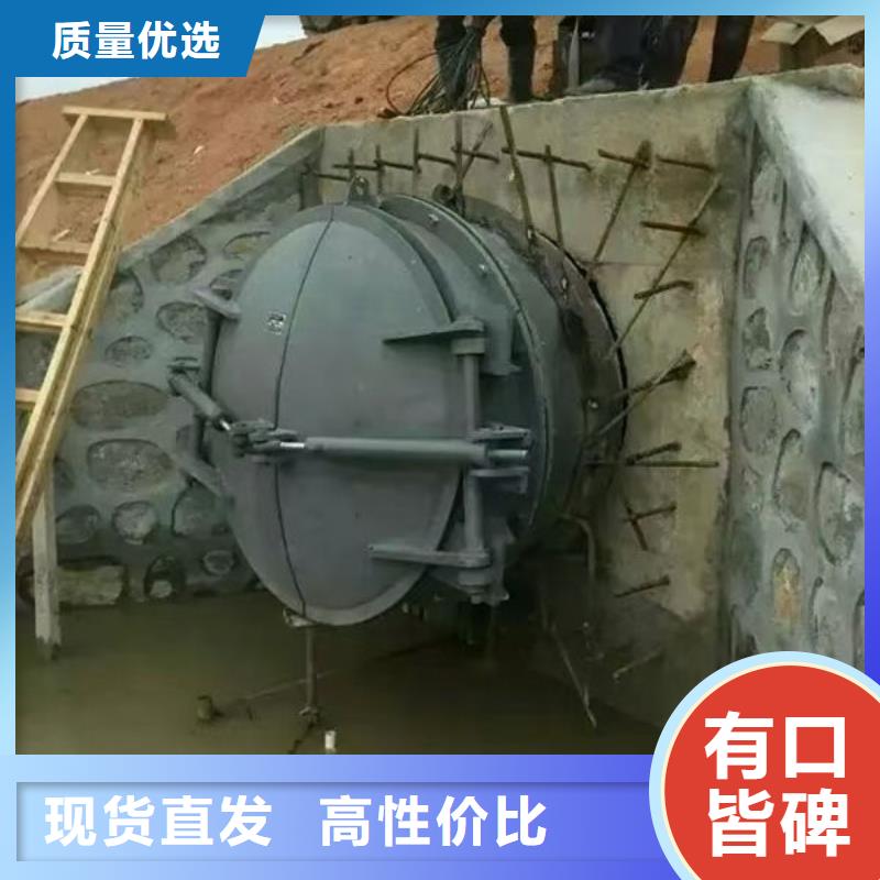 拍门-铸铁拍门贴心服务