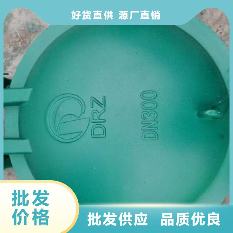 拍门-球墨铸铁拍门按需定做