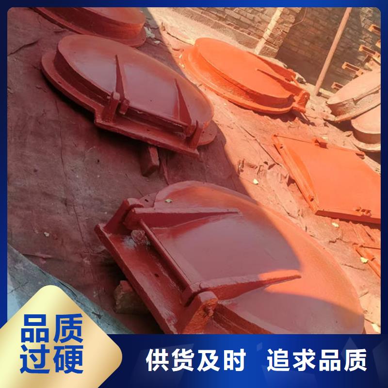 拍门-球墨铸铁拍门按需定做