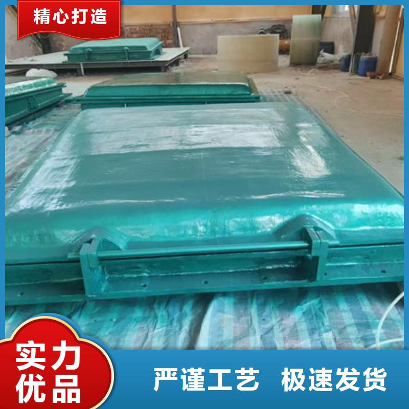 拍门-球墨铸铁拍门按需定做