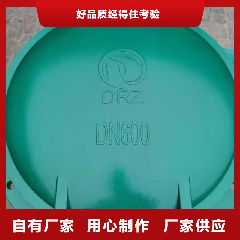 拍门-球墨铸铁拍门按需定做