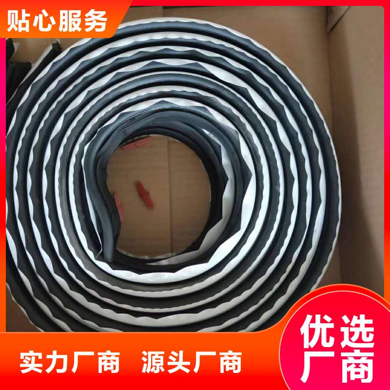 广硕PVC橡塑止水带【 止水条钢边止水带价格实惠】sxxgc.com