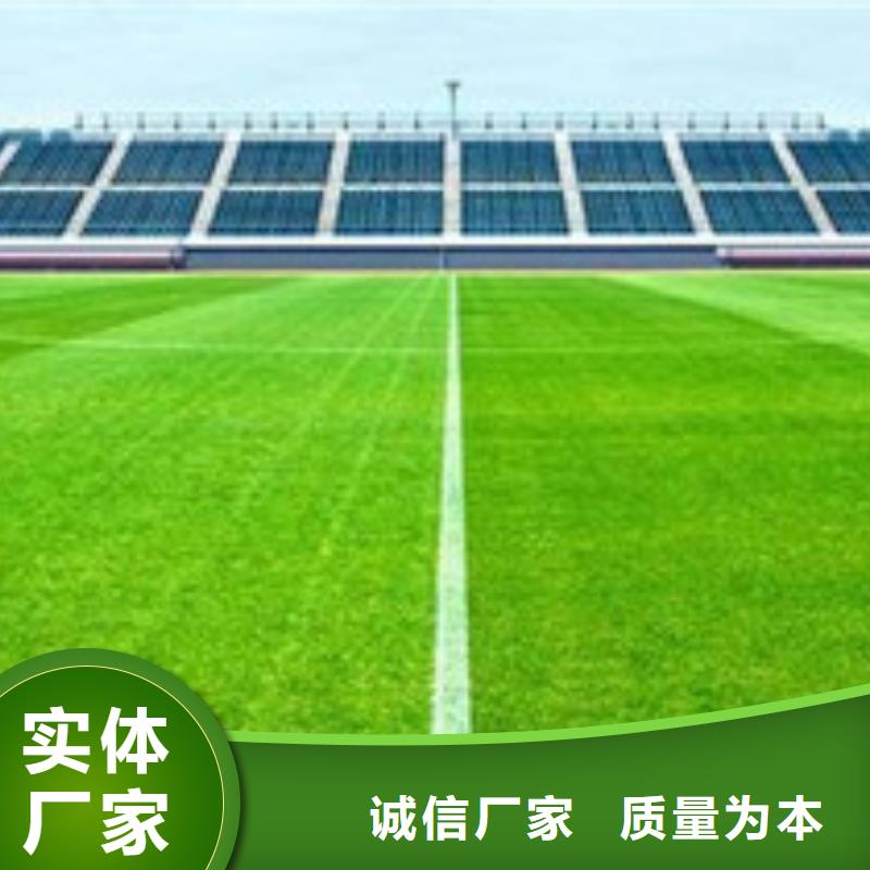 人造草坪_PVC塑胶地板工厂采购