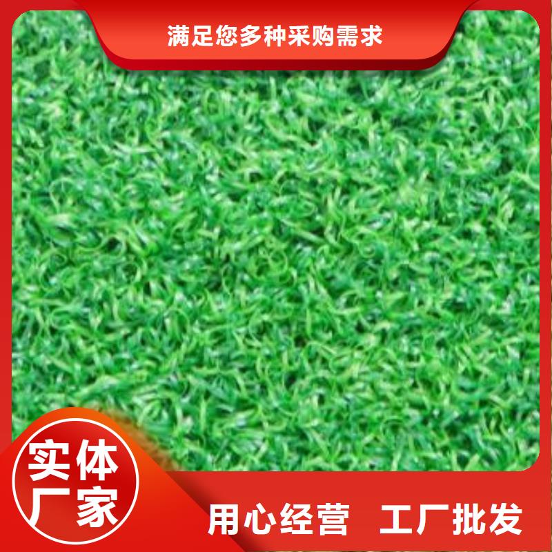 人造草坪【室外PU蓝球场】专注质量-可发货到波密|朗县|阿里|拉萨|那曲|山南|昌都|日喀则