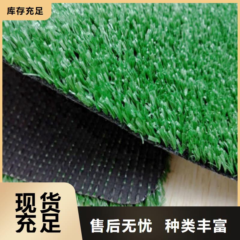 人造草坪_橡胶地板高标准高品质