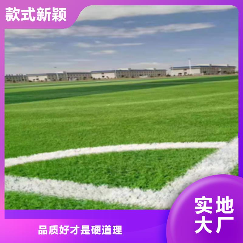人造草坪【室外PU蓝球场】专注质量-可发货到波密|朗县|阿里|拉萨|那曲|山南|昌都|日喀则