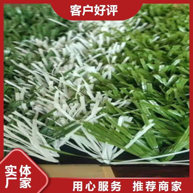 人造草坪PVC塑胶地板实力优品