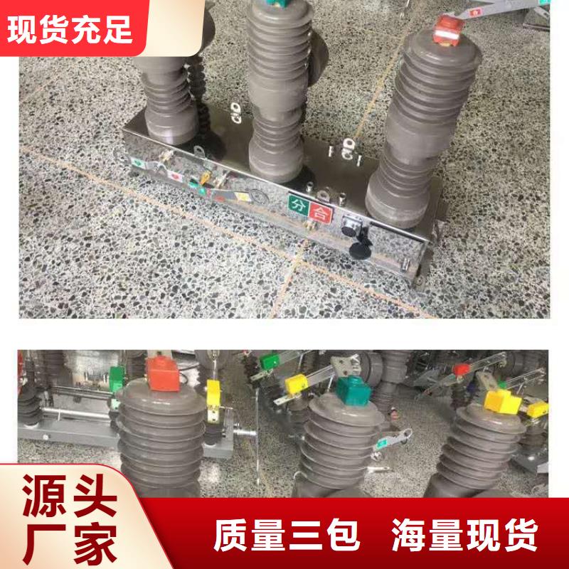 真空断路器高压限流熔断器精心选材