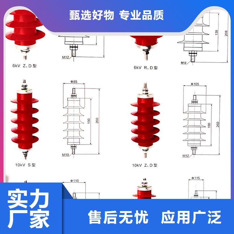 氧化锌避雷器XRNT-12KV熔断器匠心品质