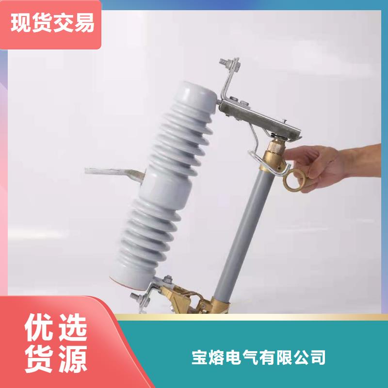 跌落式熔断器-【FKN12-12/630A】生产型-宝熔电气(漯河市分公司)