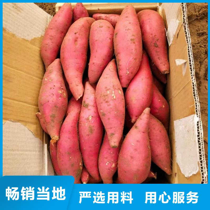 <当地>质量安心【紫薯苗】 紫薯雪花片实力厂家直销_价格低
