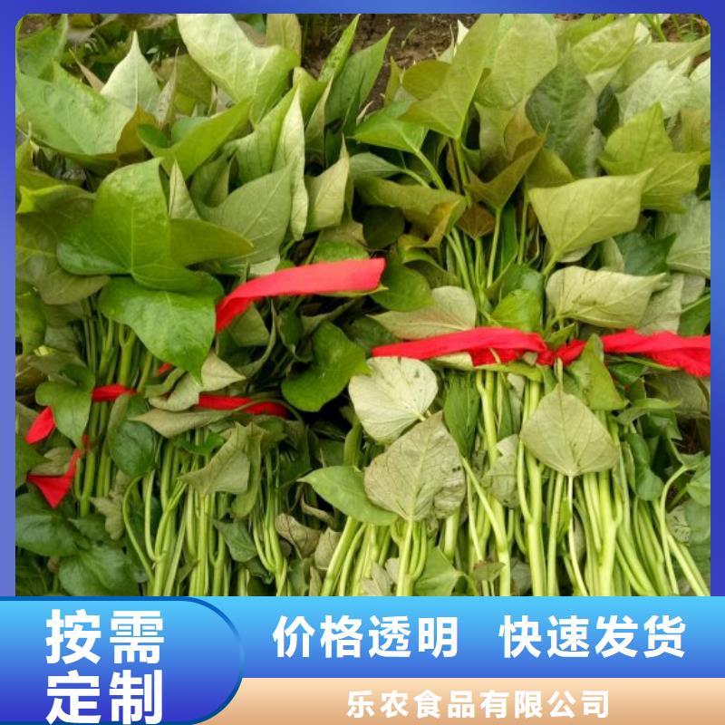 <当地>质量安心【紫薯苗】 紫薯雪花片实力厂家直销_价格低