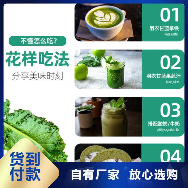 价格合理的羽衣甘蓝粉基地