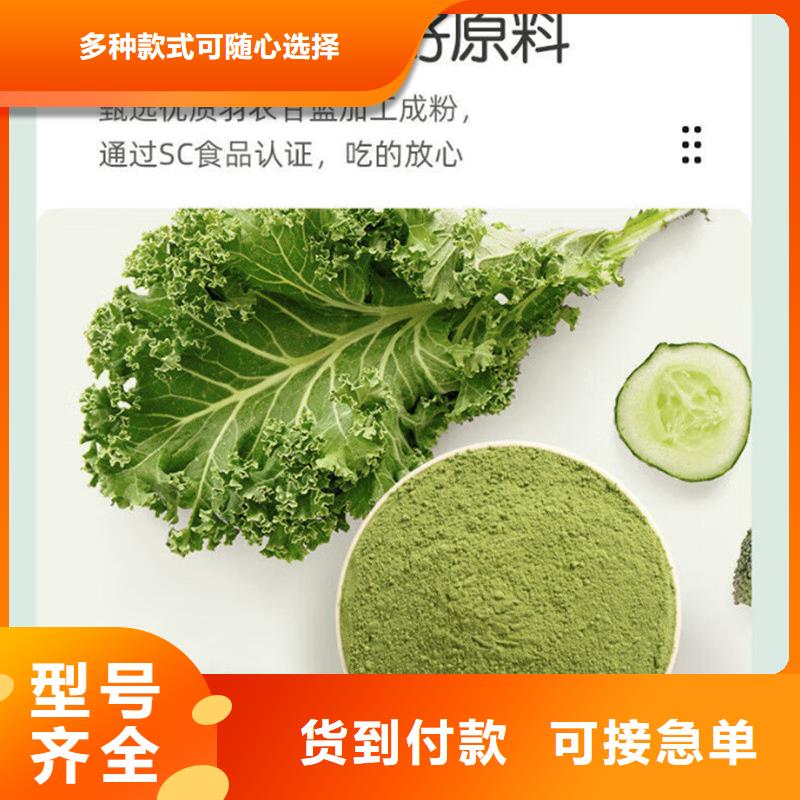 羽衣甘蓝粉实体厂家