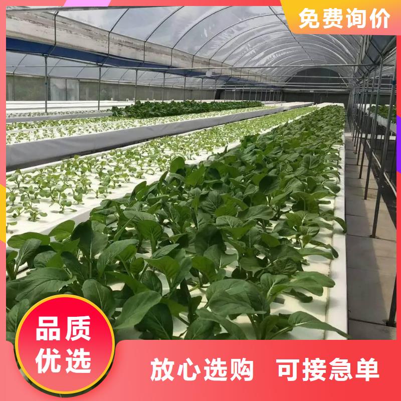 龙子湖区4分22mm大棚管质量放心