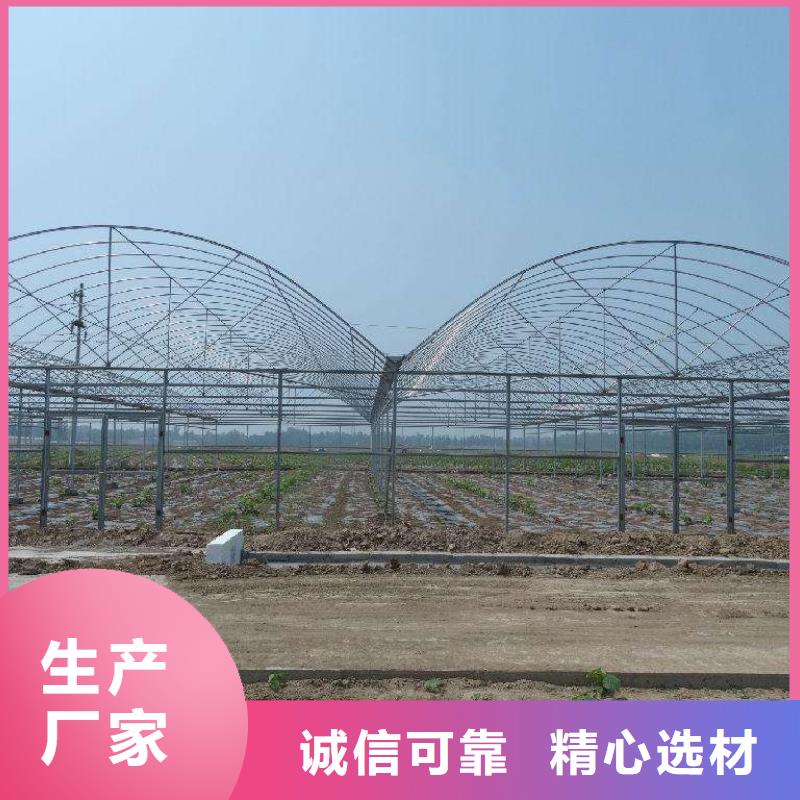 绿色植物大棚管价格行情2025