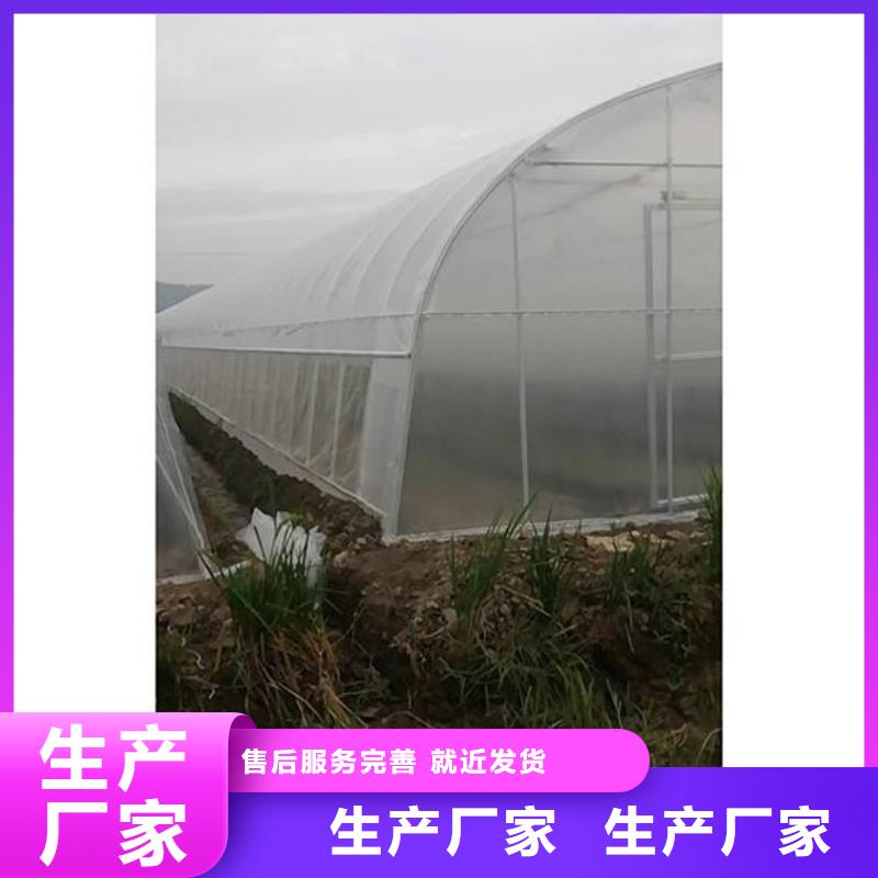 6分25mm蔬菜大棚钢管来电咨询