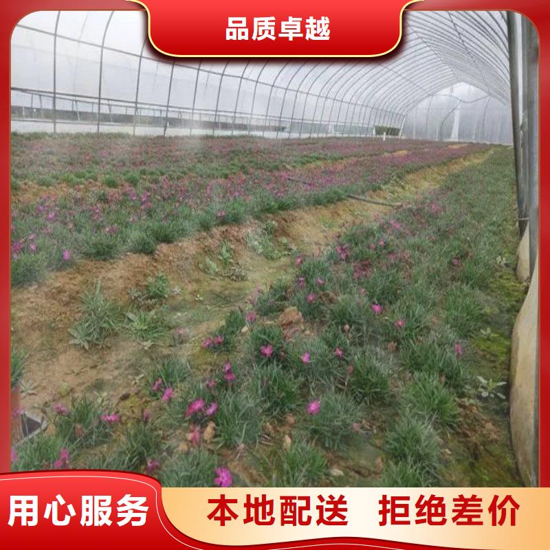 大棚管2
蔬菜温室大棚管实力厂商