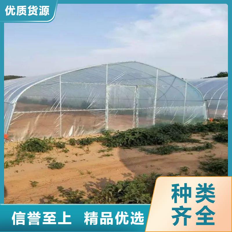 【大棚管2温室大棚管质量为本】