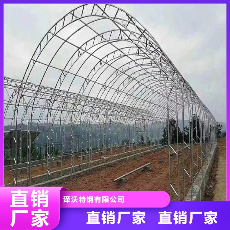 凤阳连栋大棚种植价格行情2025