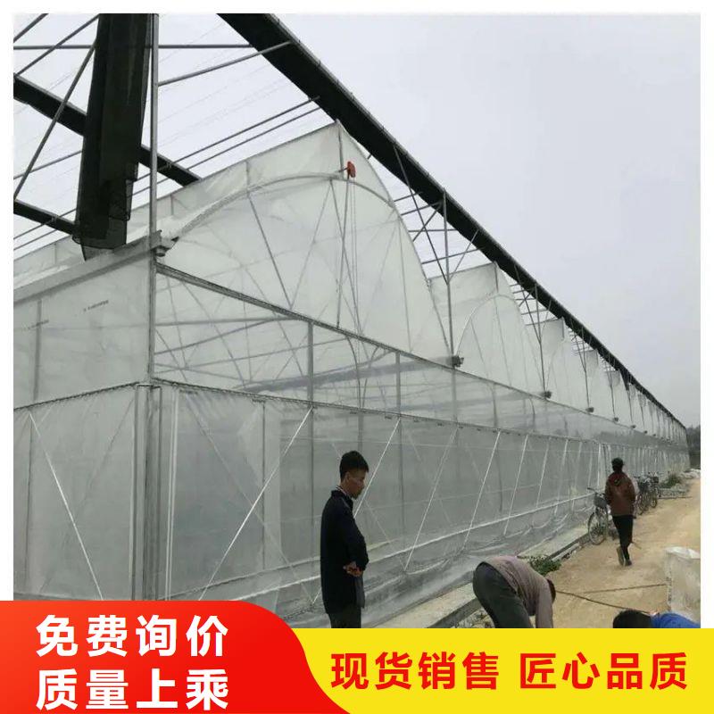 广汉连栋大棚安装视频教程推荐厂家2025