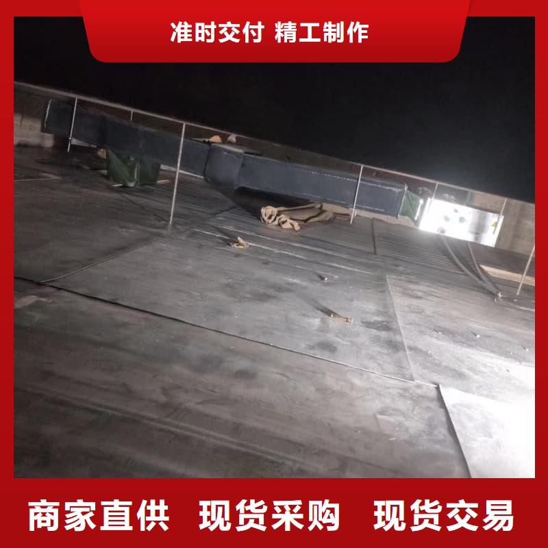 电动防护铅门厂家-报价