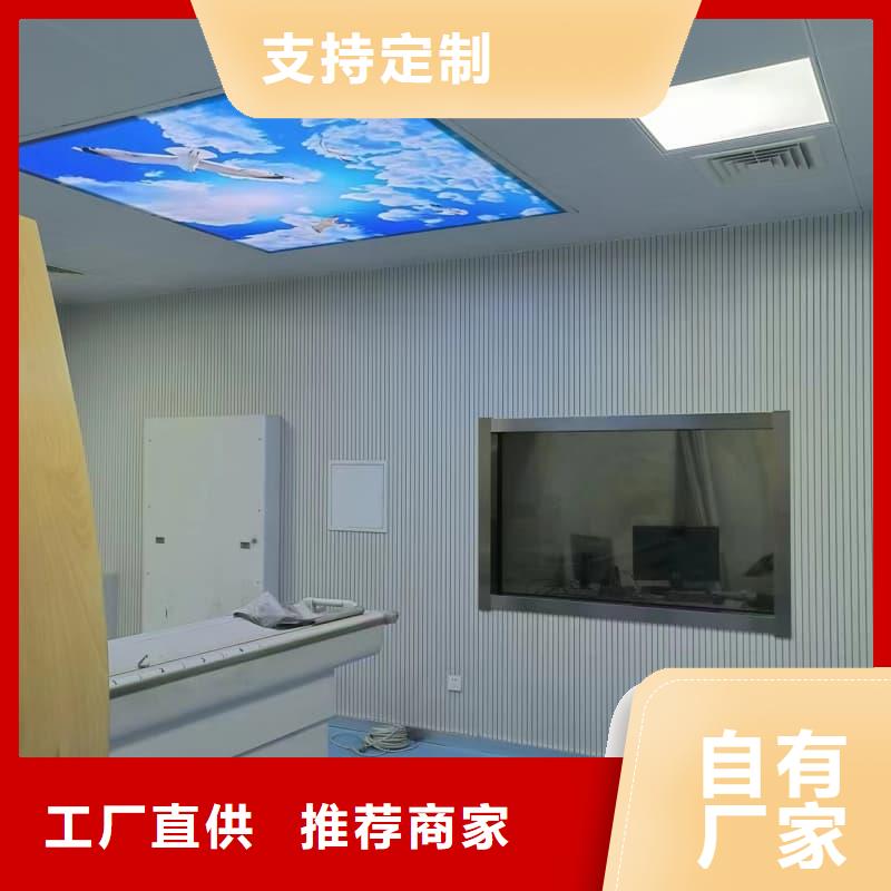 生产射线防护门铅房-厂家热销