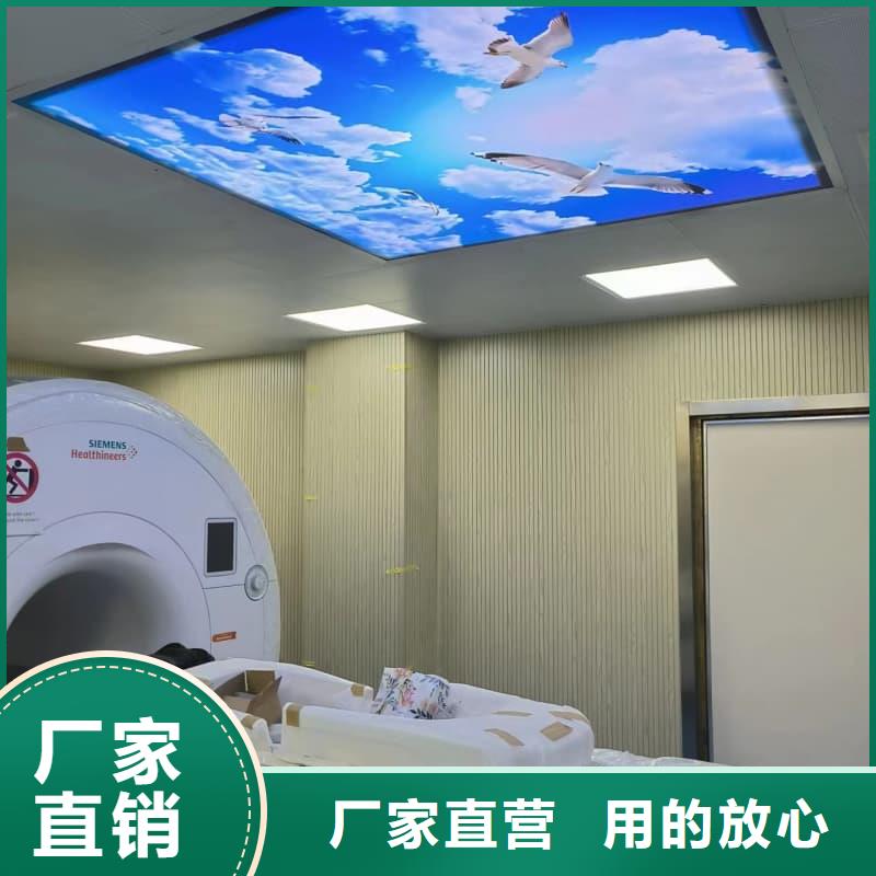 射线屏蔽工程 品质为本