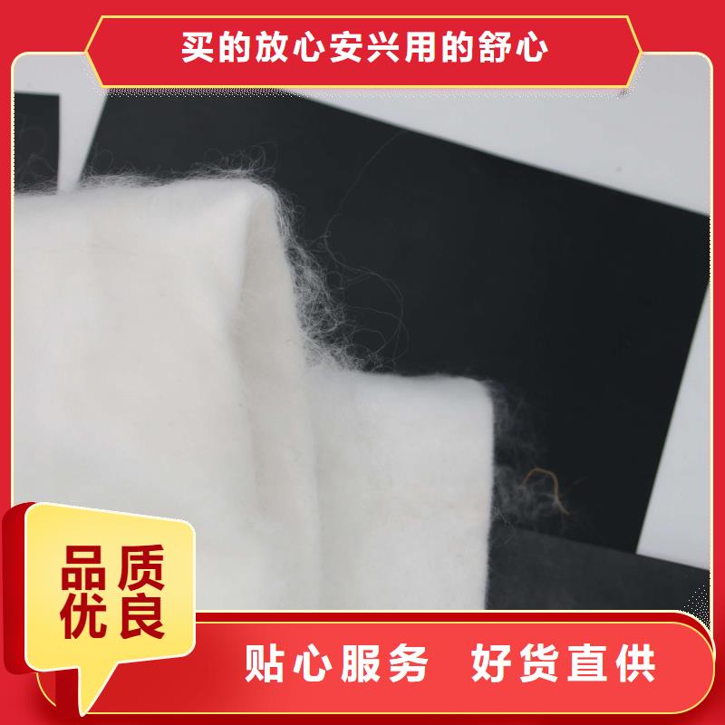 土工布,复合土工膜专业生产厂家
