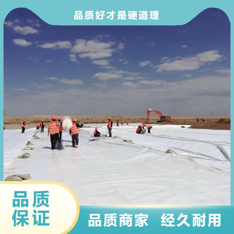 恒丰防渗膜【土工布】 复合土工膜订制批发