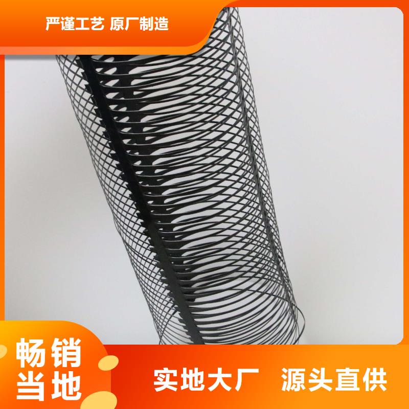 单向塑料土工格栅HDPE土工膜源头厂家量大价优