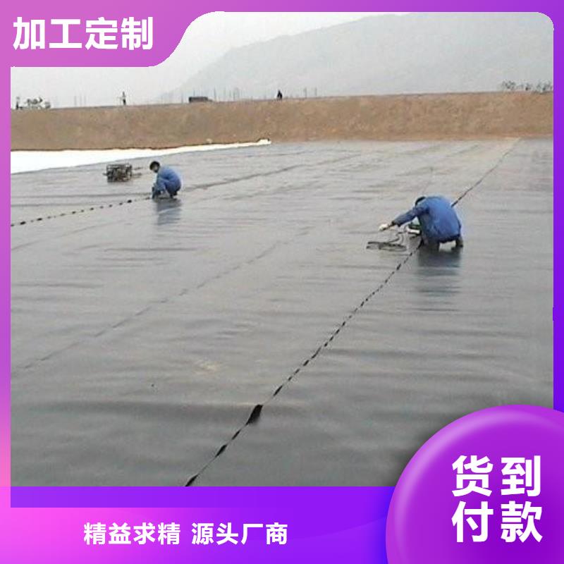 防渗膜恒丰土工膜_【三维复合排水网】源头实体厂商