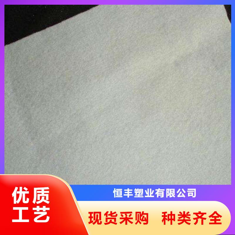 复合土工膜土工滤网原厂制造