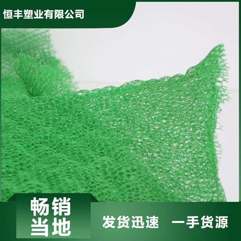 【 三维植被网-蜂巢格室高质量高信誉】恒丰防渗膜