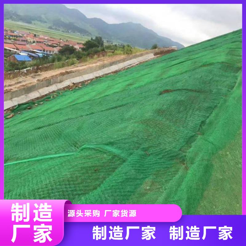 【 三维植被网-蜂巢格室高质量高信誉】恒丰防渗膜
