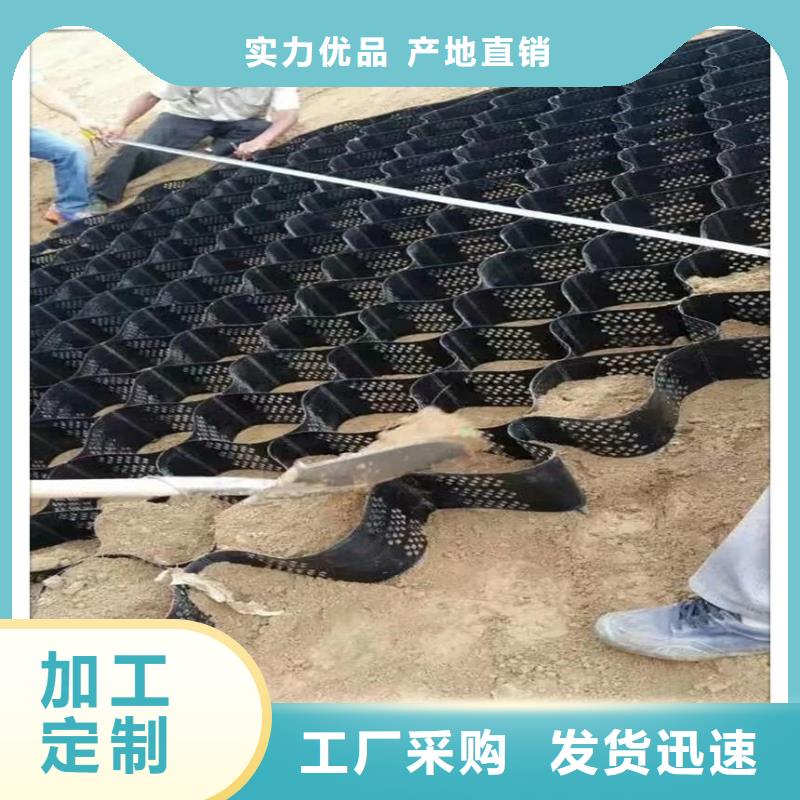 土工格室HDPE土工膜海量现货