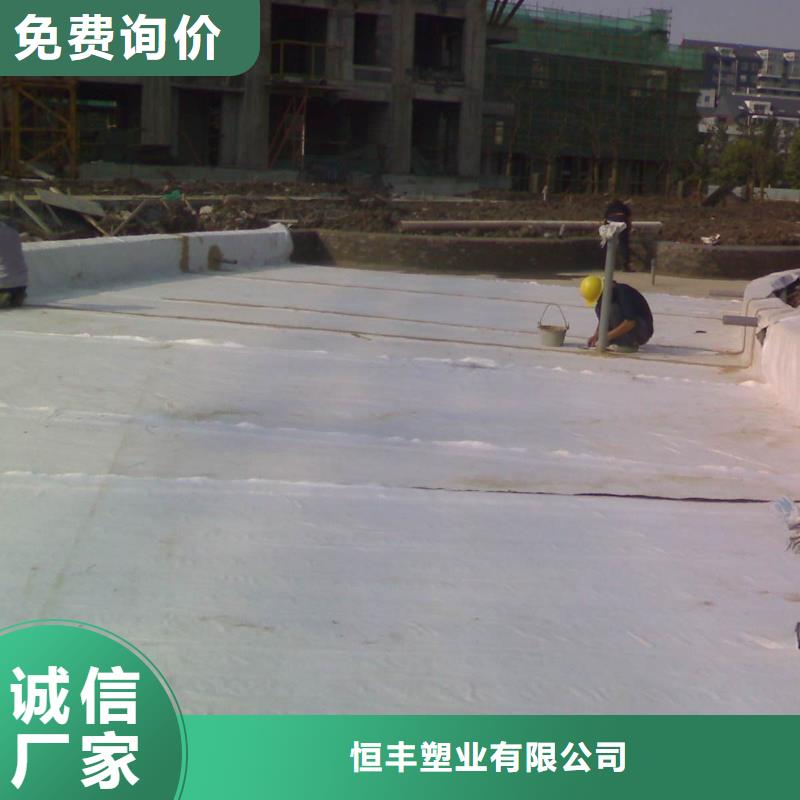 【膨润土防水毯】-土工格室诚信商家恒丰防渗膜