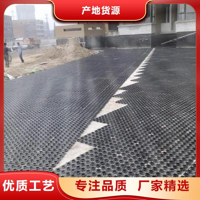 排水板三维植被网定制零售批发