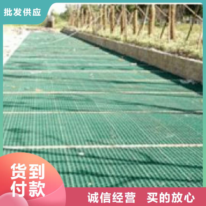 植草格【土工滤网】实力厂家