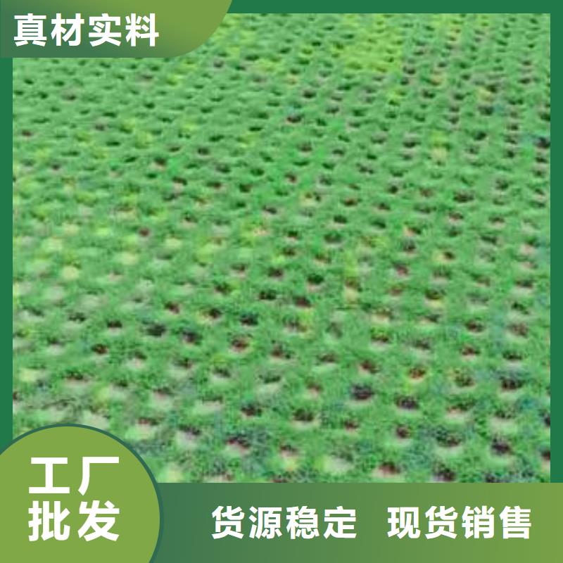 植草格【蜂巢格室】好品质用的放心