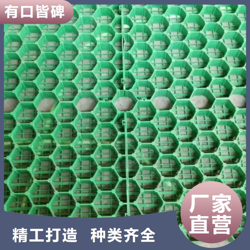 植草格【土工格室】工厂现货供应-恒丰塑业(沈阳市分公司)|覆盖地域康平|沈北新|锦州|大连|鞍山|盘锦