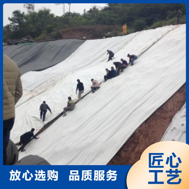 亿路通护坡土工网膨润土防水毯_【塑料土工格栅】免费回电sxxgc.com