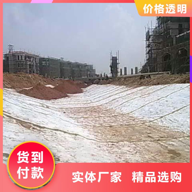 膨润土防水毯-双向塑料土工格栅多年经验值得信赖