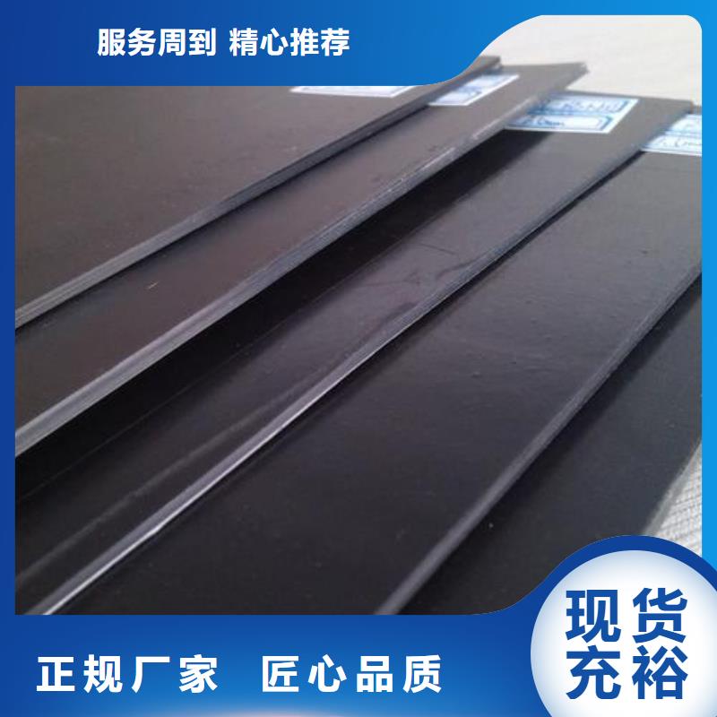 土工膜涤纶土工格栅厂家大量现货