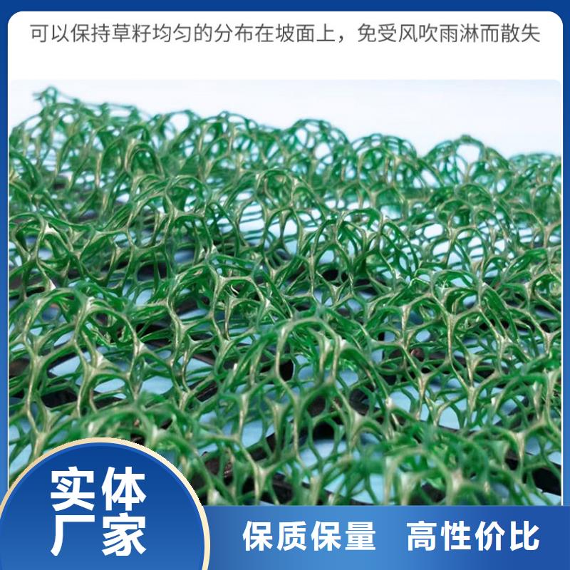 三维植被网 【透水土工布】敢与同行比服务 亿路通新材料(阜阳市分公司)